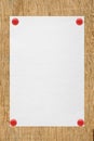 White sheet of paper attached on wooden background Royalty Free Stock Photo