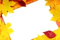 White sheet of paper and autumn leaves