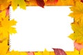 White sheet of paper and autumn leaves