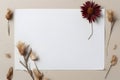 White sheet paper and beautiful dried flower on plain background. Concept of minimalistic and elegant stationery design