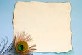 White sheet of paper with burnt edges and a peacock feather on a blue background. Copy space Royalty Free Stock Photo