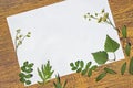 White sheet of a paper with a frame of dried plants