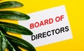 White sheet of paper with the inscription BOARD OF DIRECTORS on a bright yellow background near the green leaf of the plant. Eco