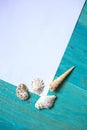 White sheet of paper (space for text), seashells, blue wood Royalty Free Stock Photo
