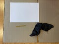 White sheet to paint and draw with space for writing, art tools_creation, inspiration concept