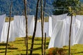 White sheets drying Royalty Free Stock Photo