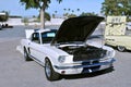 White Shelby Ford Mustang GT350 Royalty Free Stock Photo