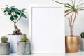 White shelf in the house with plants in pots and white frame mockup. Cacti, bonsai and yuka in a golden casing.