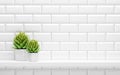 White shelf on tiled wall with green potted plants