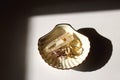 Shell Trinket And Accessories Royalty Free Stock Photo