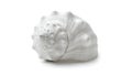 A white shell on a white background (ai generated) Royalty Free Stock Photo