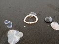 White shells are scattered along the beach with pearl bracelets Royalty Free Stock Photo