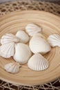 White shells in wooden bowl