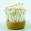 White shimeji mushrooms in a wooden cup Royalty Free Stock Photo