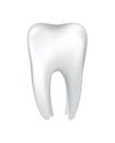 White shining human tooth. Dental medical vector icon. Stomatology clinic symbol. Teeth protection, oral or tooth care