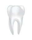 White shining human tooth. Dental medical vector icon. Stomatology clinic symbol. Teeth protection, oral or tooth care