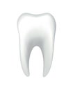 White shining human tooth. Dental medical vector icon. Stomatology clinic symbol. Teeth protection, oral or tooth care