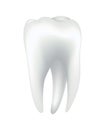 White shining human tooth. Dental medical vector icon. Stomatology clinic symbol. Teeth protection, oral or tooth care