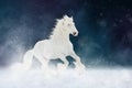 White Shire horse stallion runs gallop over star sky background Royalty Free Stock Photo