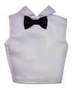 White Shirt and Bow Tie Royalty Free Stock Photo