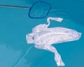 A white shirt floats on the water of a swimming pool, while someone tries to fish it with a net