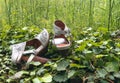 White shoes with high heels in ivy leaves. Having a rest concept from a busy life. Day off concept. Copy space