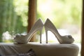 White Shoes with Jewels Royalty Free Stock Photo