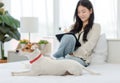 White short hair parson jack russell terrier dog laying lying down on bed with Asian young cheerful female owner sitting smiling Royalty Free Stock Photo