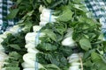 White short petiole bok choi