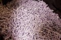 White shredded paper texture for background Royalty Free Stock Photo