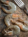 White shrimps on brown background