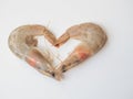 White shrimps forming a heart isolated