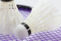 White Shuttlecock for badminton Royalty Free Stock Photo