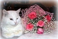 White cat and bouquet of roses Royalty Free Stock Photo