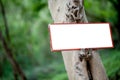 sign attached on a tree with space