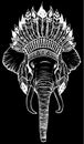 white silhouette of Elephant head with american indian chief headdress. Royalty Free Stock Photo