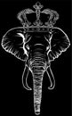 white silhouette of head elephant king animal on black background