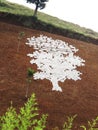 White silhouette a Land Art 1