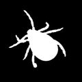 White silhouette of a mite isolated on a black