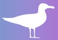 White silhouette of an oceanic sea gull on a violet-blue background. The outlines of a standing bird Royalty Free Stock Photo