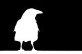 White silhouette of a raven on a black background. The isolate of crow is sitting on a tree branch