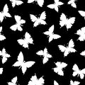White silhouettes of butterflies on a black background. Insects. Seamless doodle summer pattern. Royalty Free Stock Photo