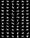 silhouettes of dogs Royalty Free Stock Photo