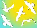 White silhouettes of flying birds. Royalty Free Stock Photo