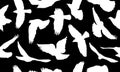 White silhouettes of flying birds on black background, seamless pattern. Vector illustration Royalty Free Stock Photo