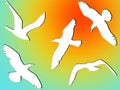 White silhouettes of flying birds. Royalty Free Stock Photo