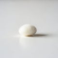 Of a white silk cocoon highlighting its smooth oval shape and Royalty Free Stock Photo