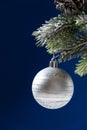 White silver ball on a snow-covered branch of a Christmas tree on a blue background, space for text Royalty Free Stock Photo