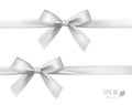 White or silver bow with ribbon.