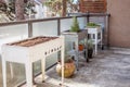 A white and silver galvanized elevated garden planter sits on an apartment patio in the spring.